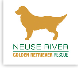 Neuse River Golden Retriever Rescue